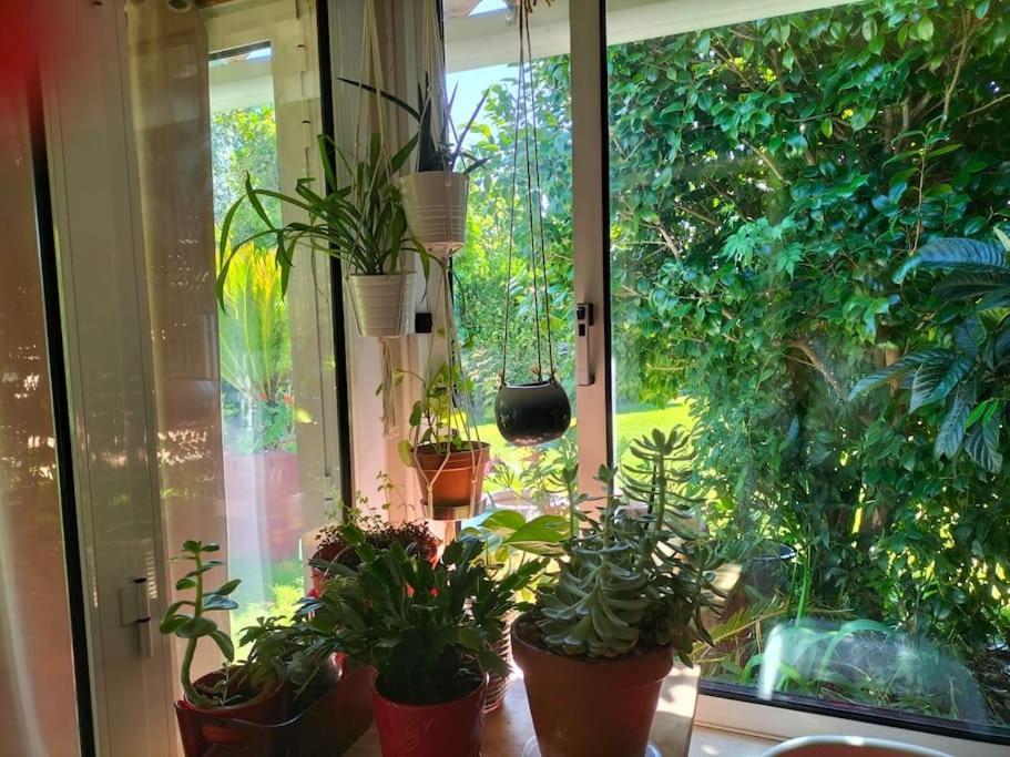 Casa Triana Villa Soure Екстериор снимка